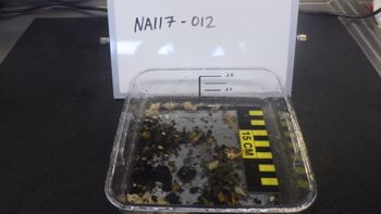 Media type: image;   Invertebrate Zoology 153106 Description: live specimen;